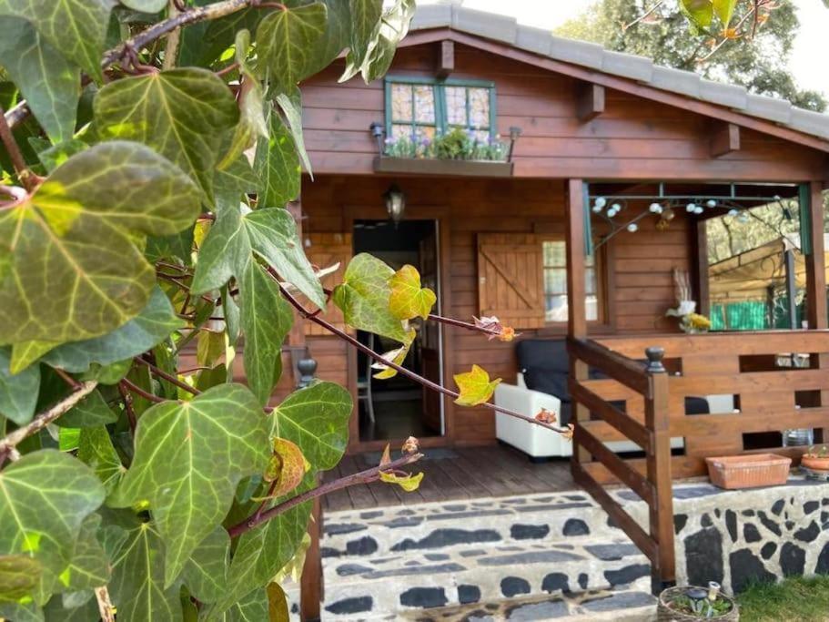 Desconexion Y Paz, Cabana En La Sierra Albalate De Zorita Екстер'єр фото